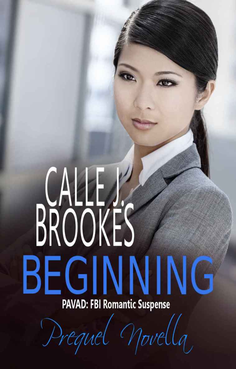 Beginning: A PAVAD Prequel Novella (PAVAD: FBI Romantic Suspense)