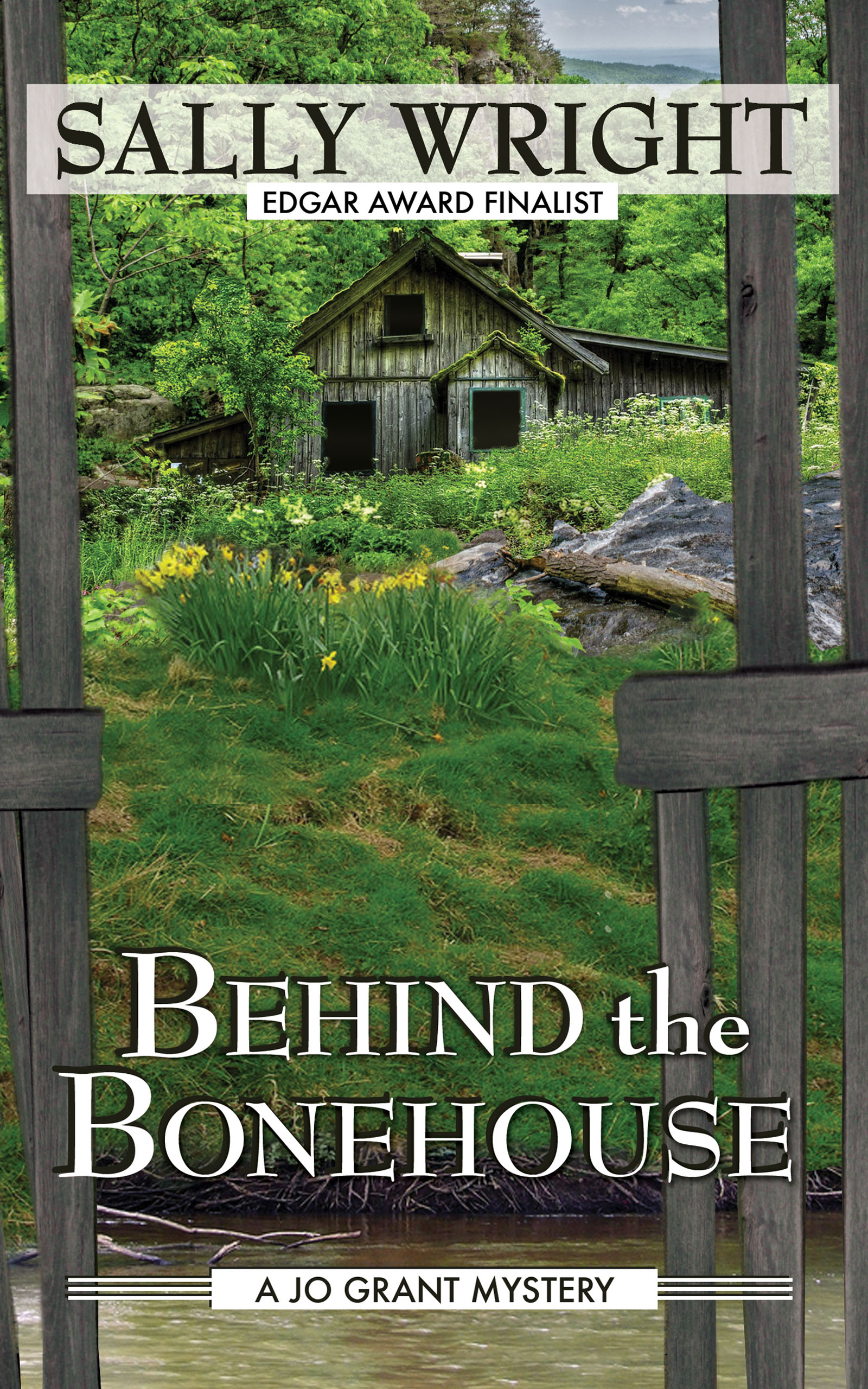 Behind the Bonehouse (2016) by Sally Wright