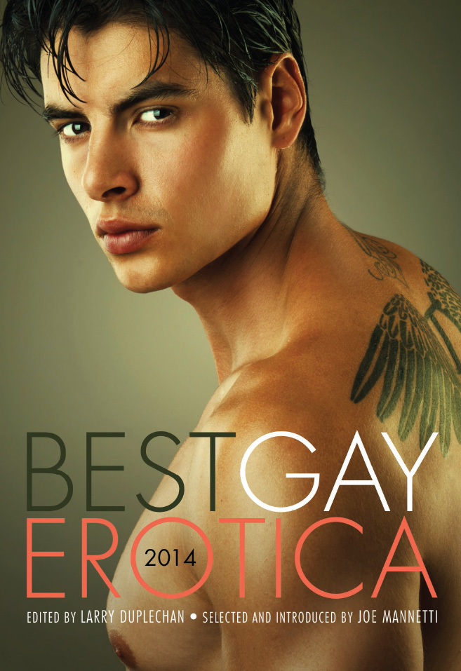 Best Gay Erotica 2014 by Larry Duplechan