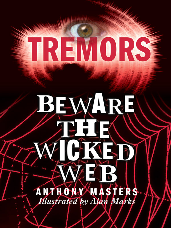 Beware The Wicked Web (2000) by Anthony Masters