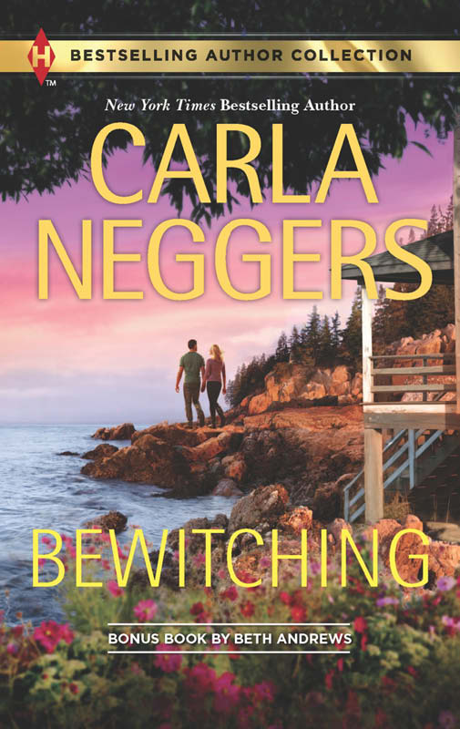 Bewitching: His Secret Agenda (2013) by Carla Neggers