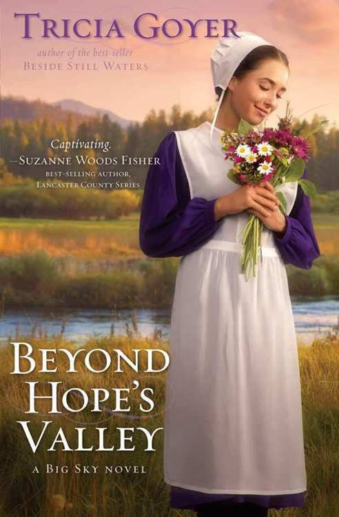 Beyond Hope's Valley: A Big Sky Novel by Tricia Goyer