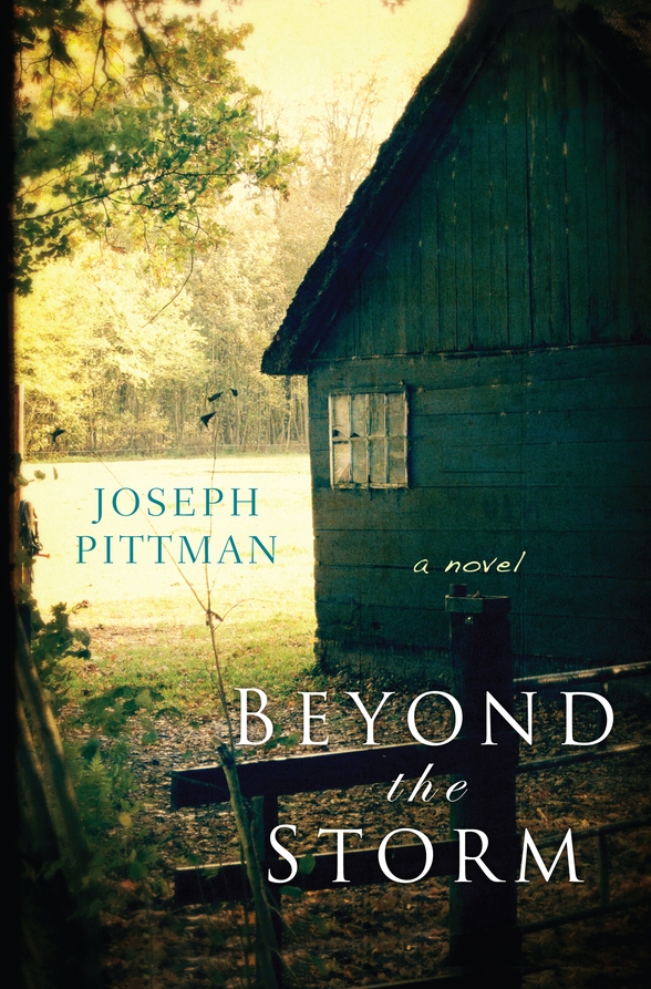 Beyond the Storm (9780758276995) (2013)