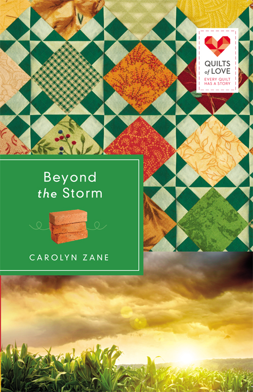 Beyond the Storm: Quilts of Love Series (2012)