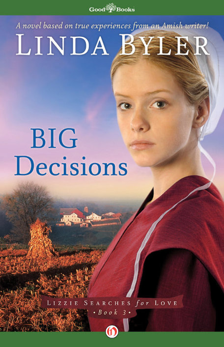 Big Decisions by Linda Byler