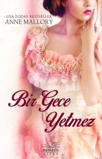 Bir Gece Yetmez (2014)