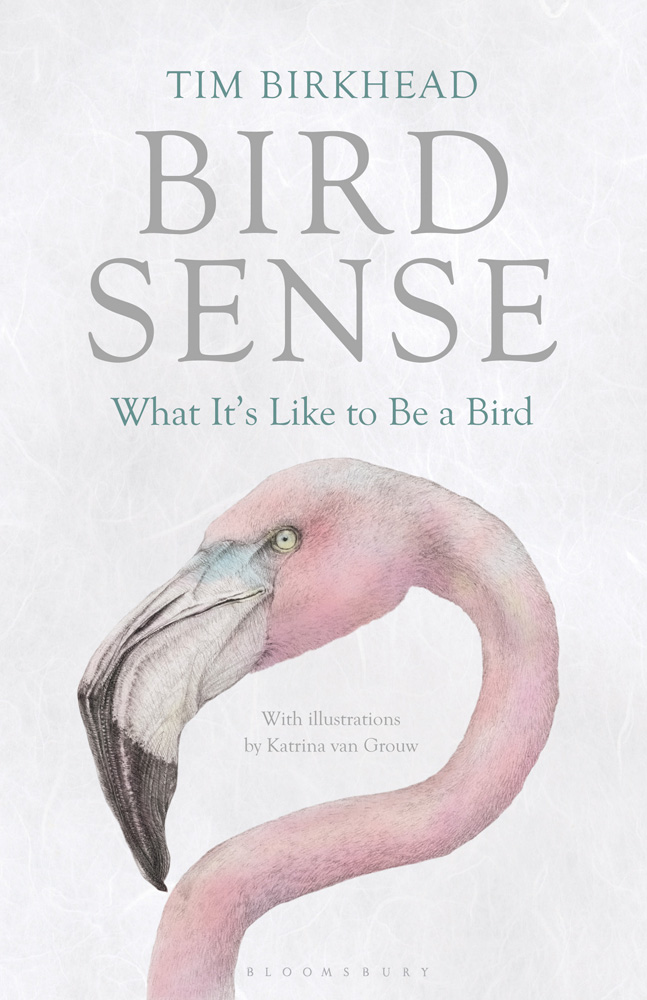 Bird Sense (2012) by Tim Birkhead