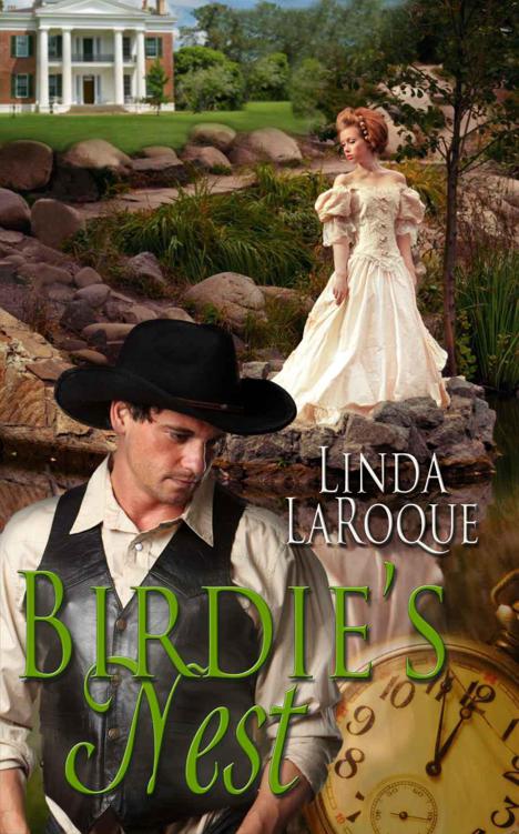 Birdie's Nest by LaRoque, Linda