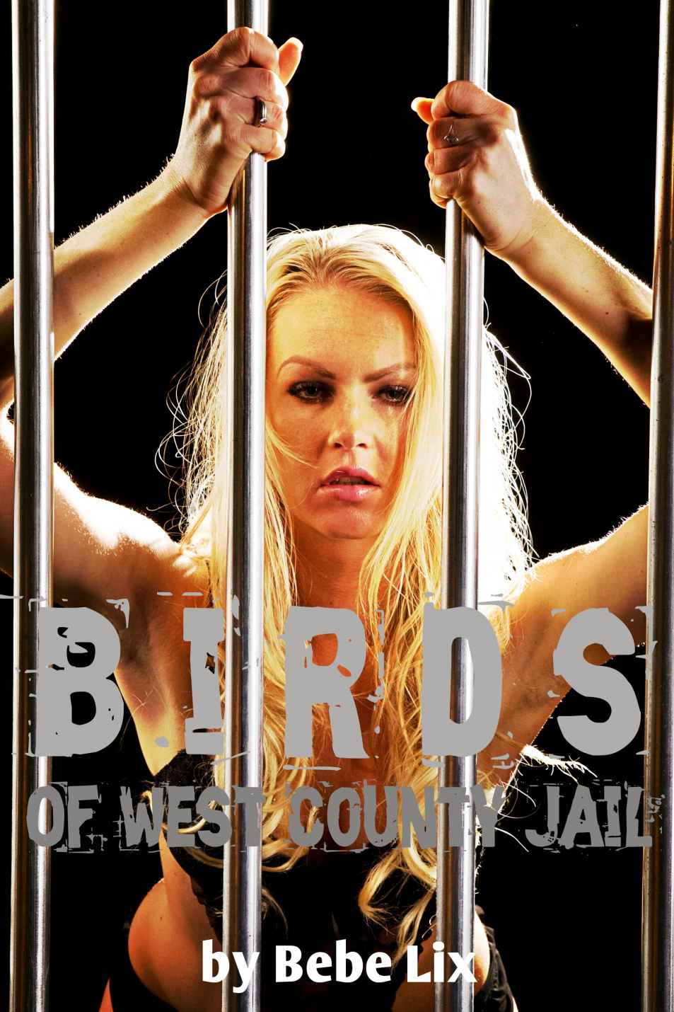 Birds Of West County Jail: Interracial Group Lesbian Erotica by Bebe Lix