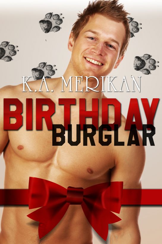 Birthday Burglar by K.A. Merikan