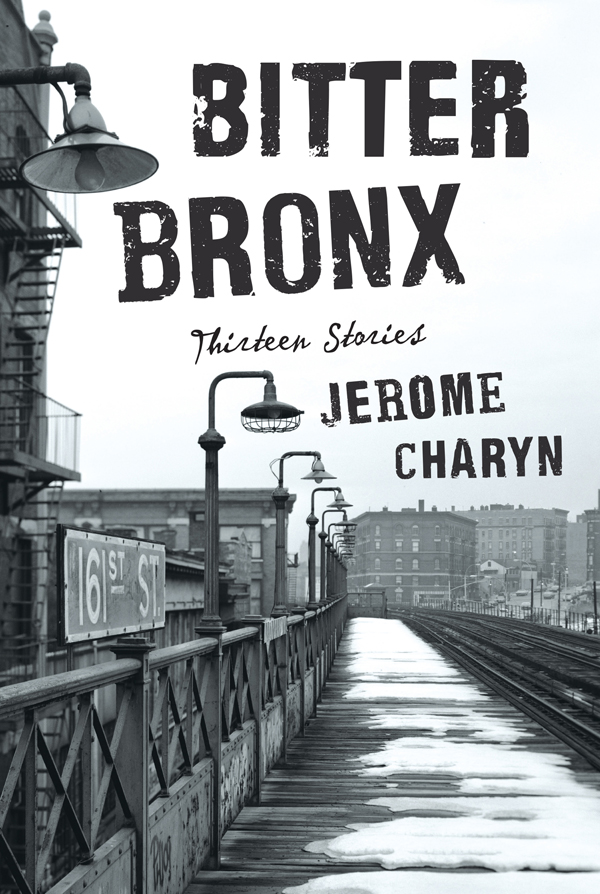 Bitter Bronx (2015) by Jerome Charyn