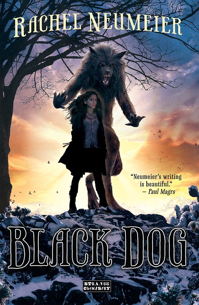 Black Dog (2014) by Rachel Neumeier