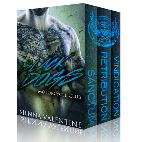 Black Dogs Motorcycle Club: Full Series Box Set by Sienna Valentine