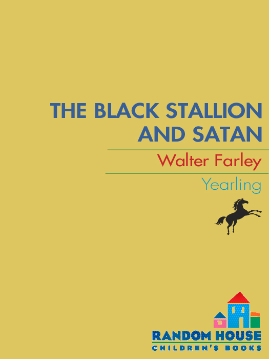 Black Stallion and Satan (2011) by Walter Farley