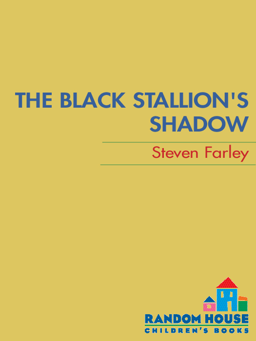 Black Stallion's Shadow (2011) by Steven Farley