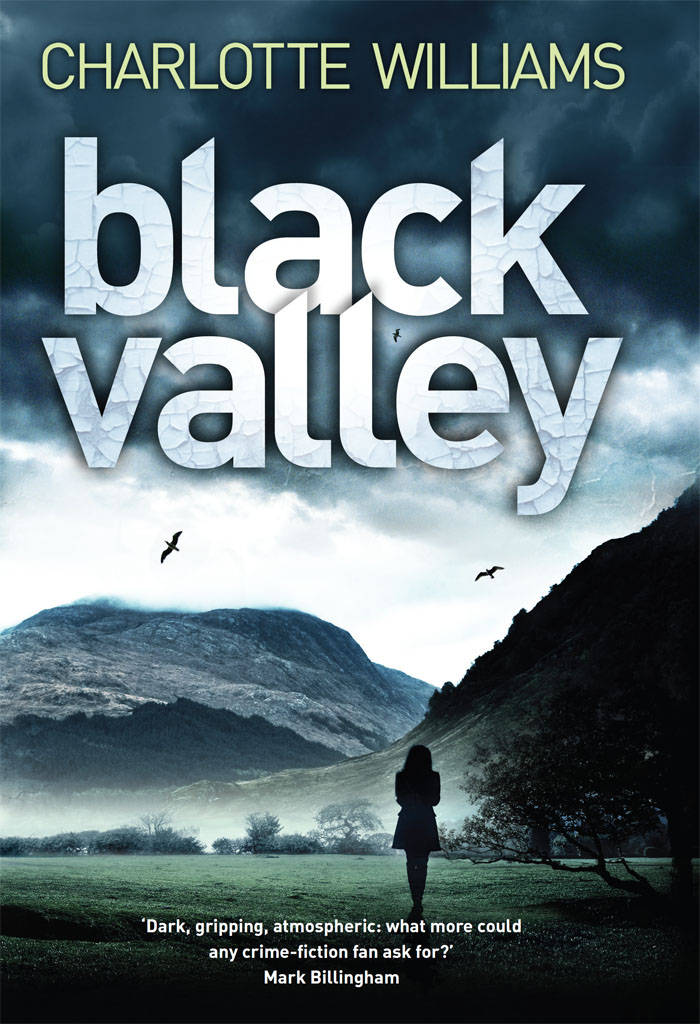 Black Valley by Williams, Charlotte