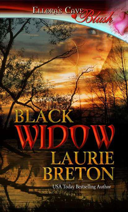 Black Widow by Breton, Laurie