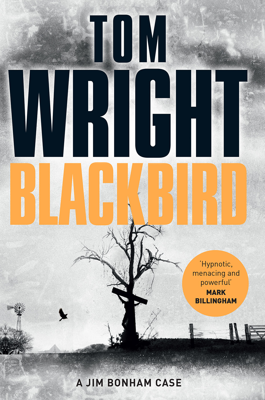 Blackbird by Tom   Wright