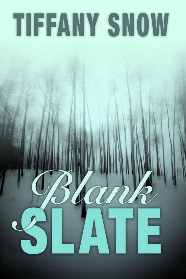 Blank Slate by Snow, Tiffany