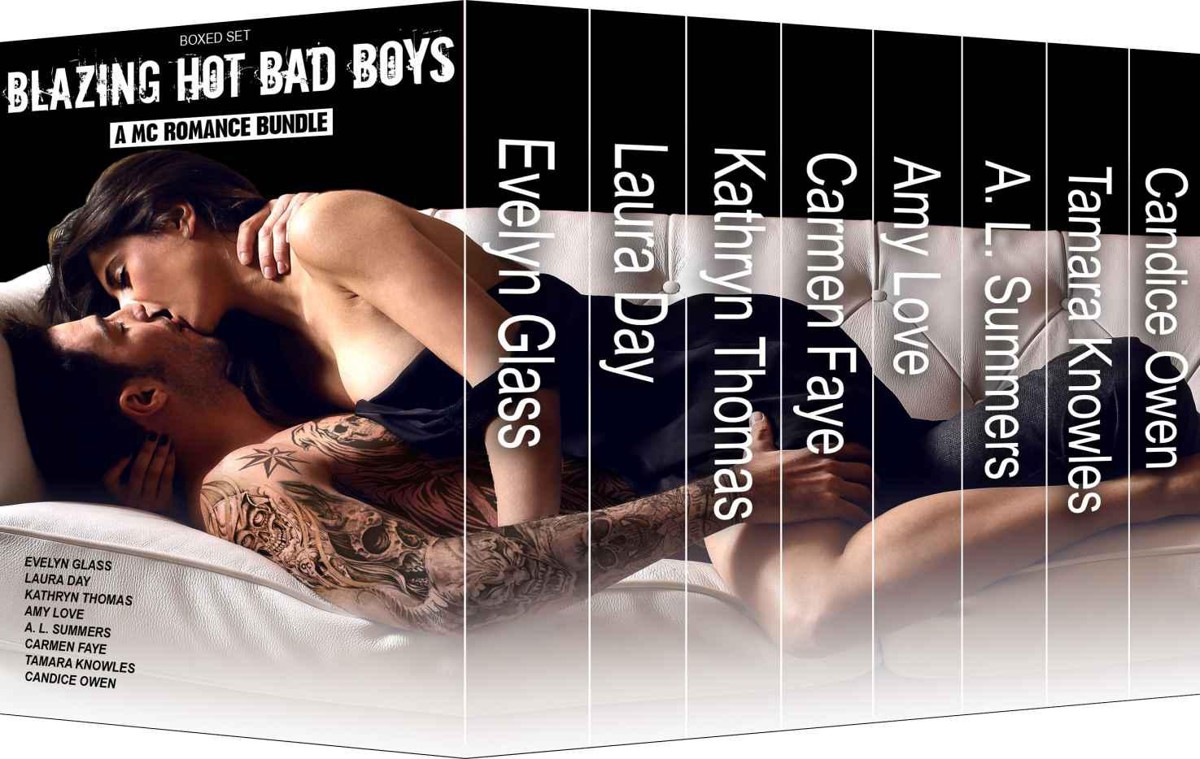Blazing Hot Bad Boys Boxed Set - A MC Romance Bundle by Glass, Evelyn
