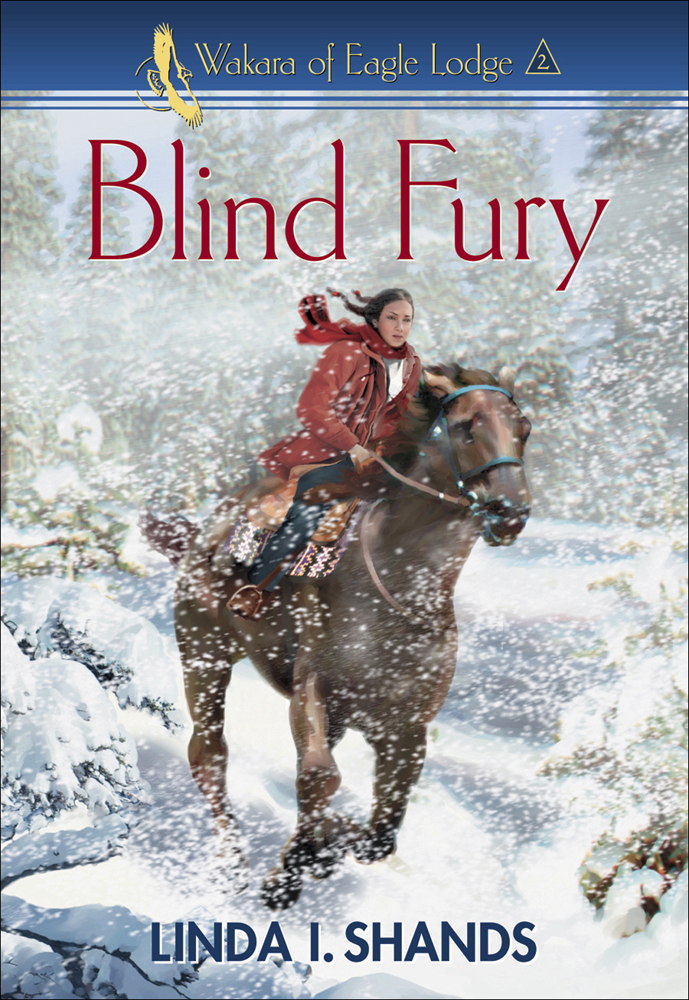 Blind Fury by Linda I. Shands