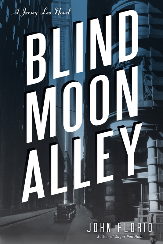 Blind Moon Alley (2014) by John  Florio