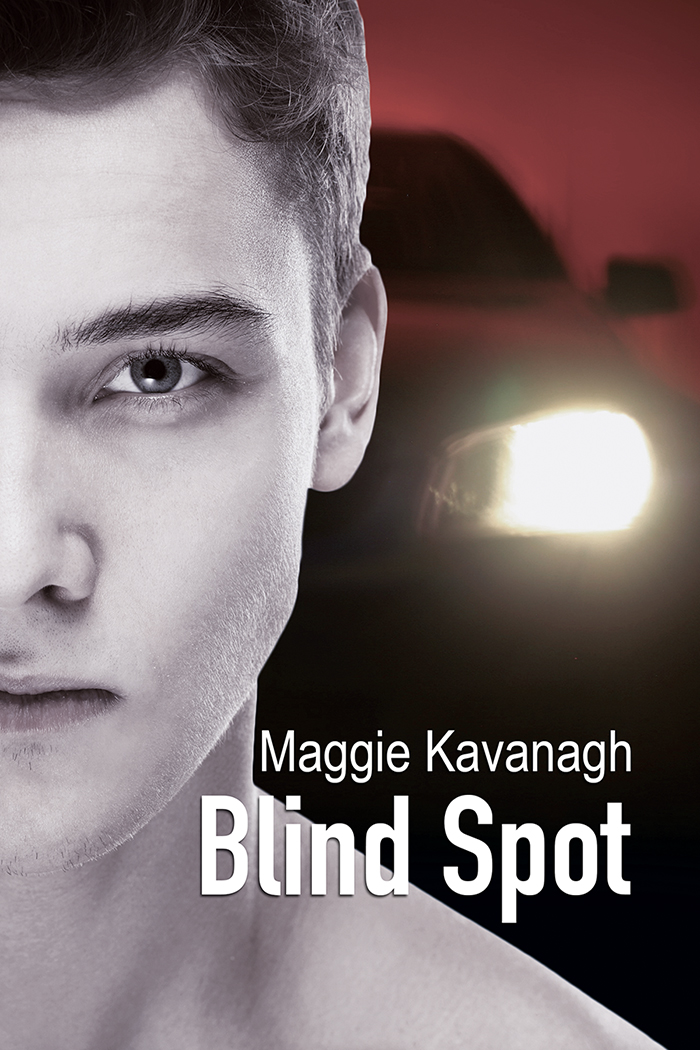 Blind Spot (2016) by Maggie Kavanagh