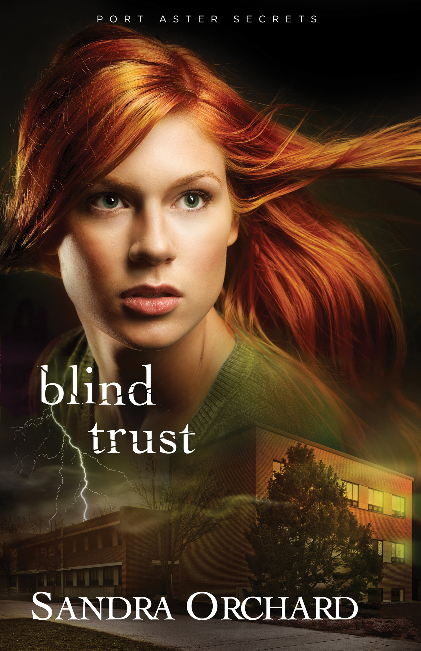 Blind Trust (2014) by Sandra Orchard