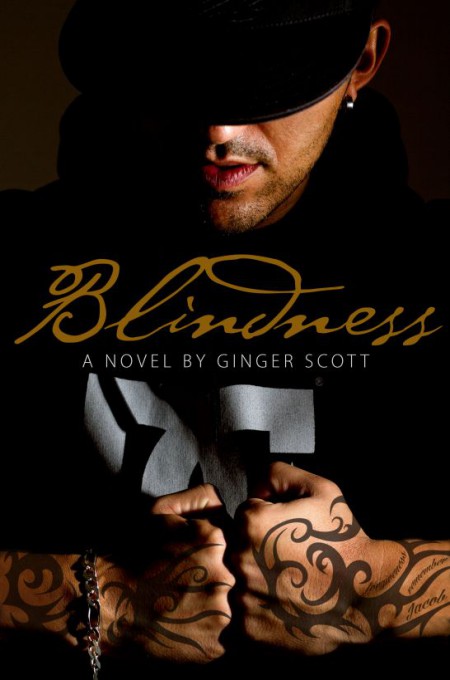 Blindness by Ginger Scott