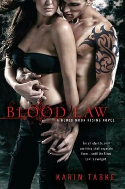 Blood Law by Karin Tabke