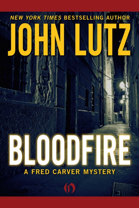 Bloodfire (2011) by John Lutz
