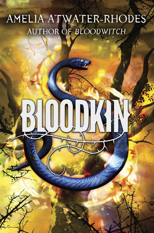 Bloodkin (2015) by Amelia Atwater-Rhodes