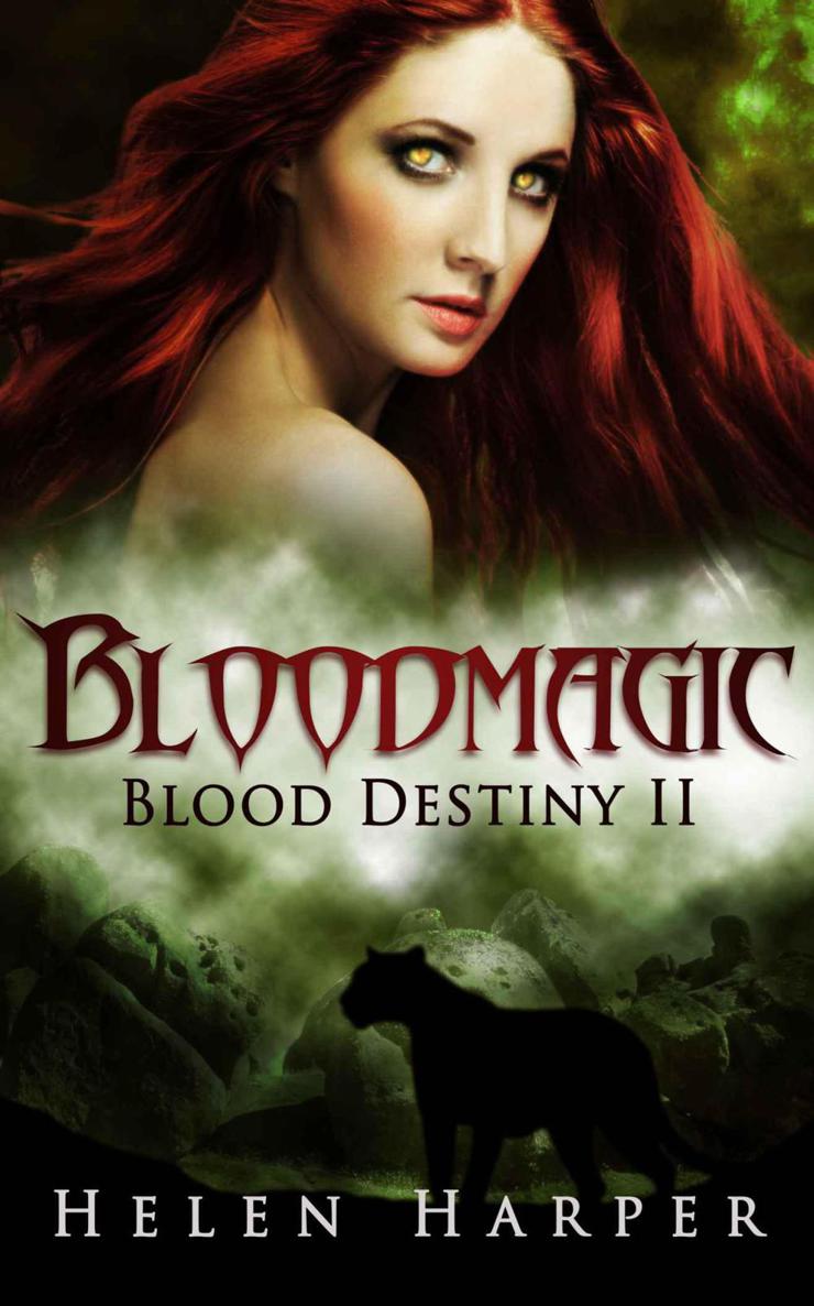 Bloodmagic (Blood Destiny 2) by Harper, Helen