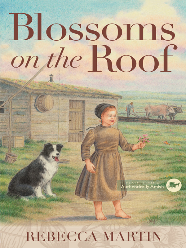 Blossoms on the Roof by Rebecca Martin