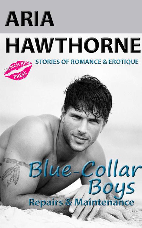 Blue-Collar Boys - Repairs & Maintenance (Book 2: Steamy Erotic Romance Stories) by Hawthorne, Aria