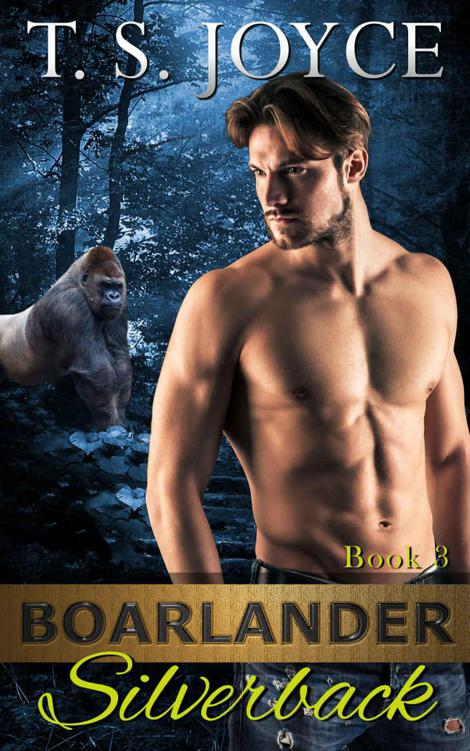 Boarlander Silverback (Boarlander Bears Book 3) by Joyce, T. S.