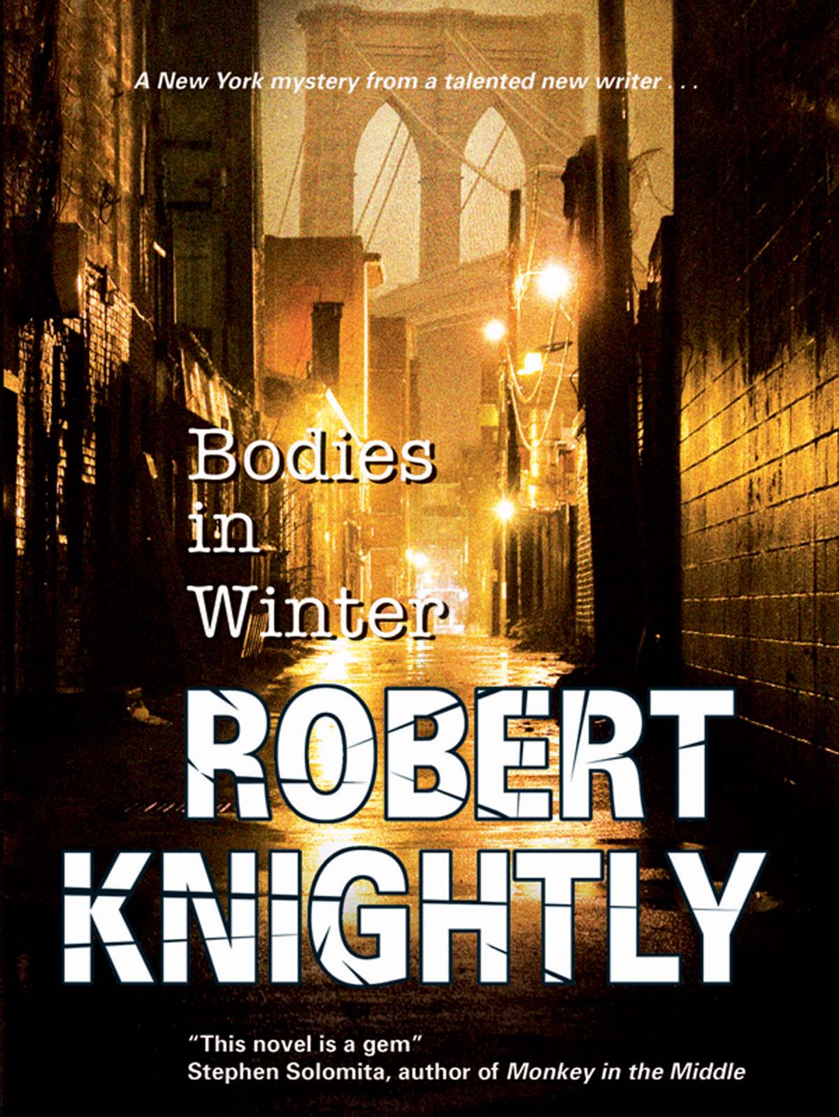 Bodies in Winter (2009) by Robert Knightly