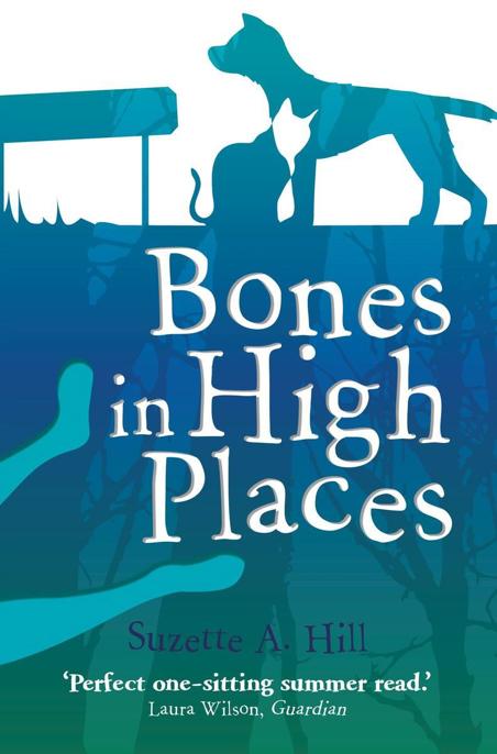 Bones in High Places by Suzette Hill