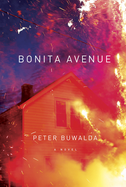 Bonita Avenue (2015) by Peter Buwalda