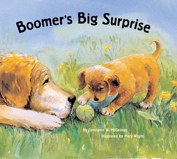 Boomer's Big Surprise by Constance W. McGeorge