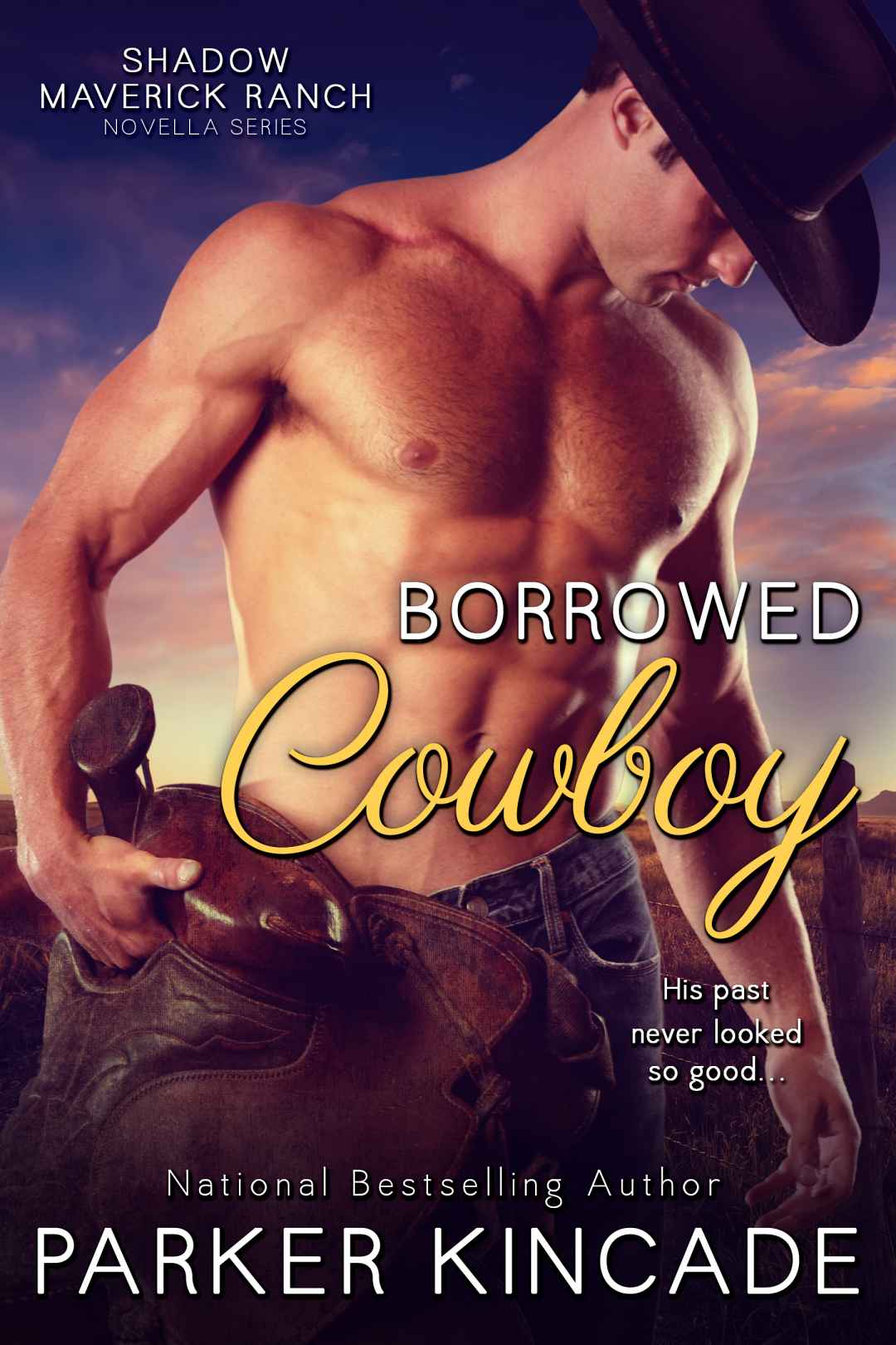 Borrowed Cowboy (Shadow Maverick Ranch) by Parker Kincade