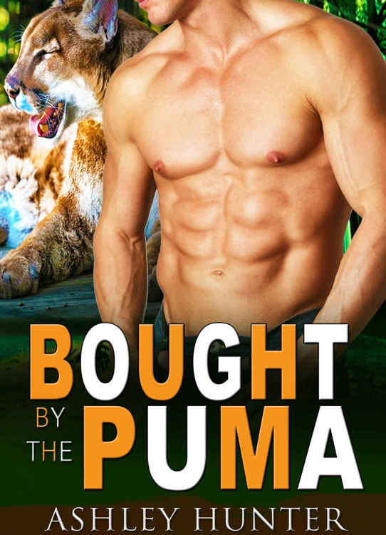 Bought by the Puma (Studly Shifters Book 1) by Ashley Hunter