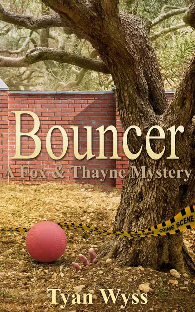 Bouncer by Tyan Wyss