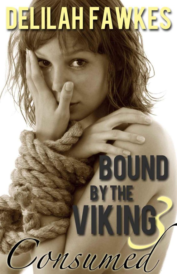 Bound by the Viking, Part 3: Consumed