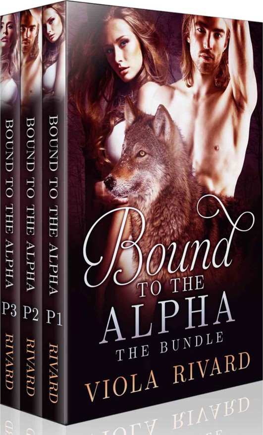 Bound to the Alpha: The Bundle by Viola Rivard