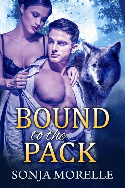 Bound to the Pack (Bound to the Pack, #1) by Morelle, Sonja