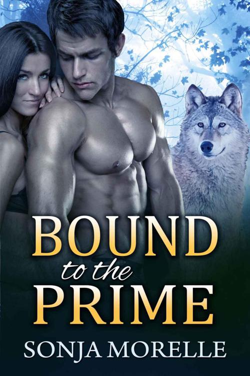 Bound to the Prime (Bound to the Pack, #3) by Morelle, Sonja