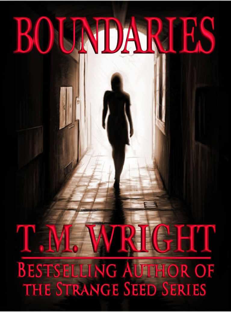 Boundaries by Wright, T.M.