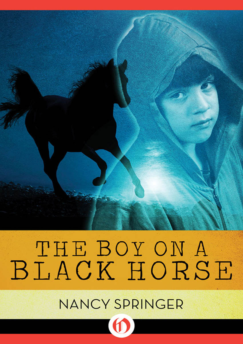 Boy on a Black Horse by Springer, Nancy