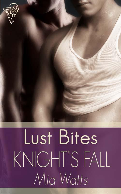 Boys in Blue 04 - Knight's Fall by Mia Watts